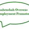 Shahenshah Oversees Employment Recruitment Company logo